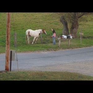 Meet your Posher, Katie